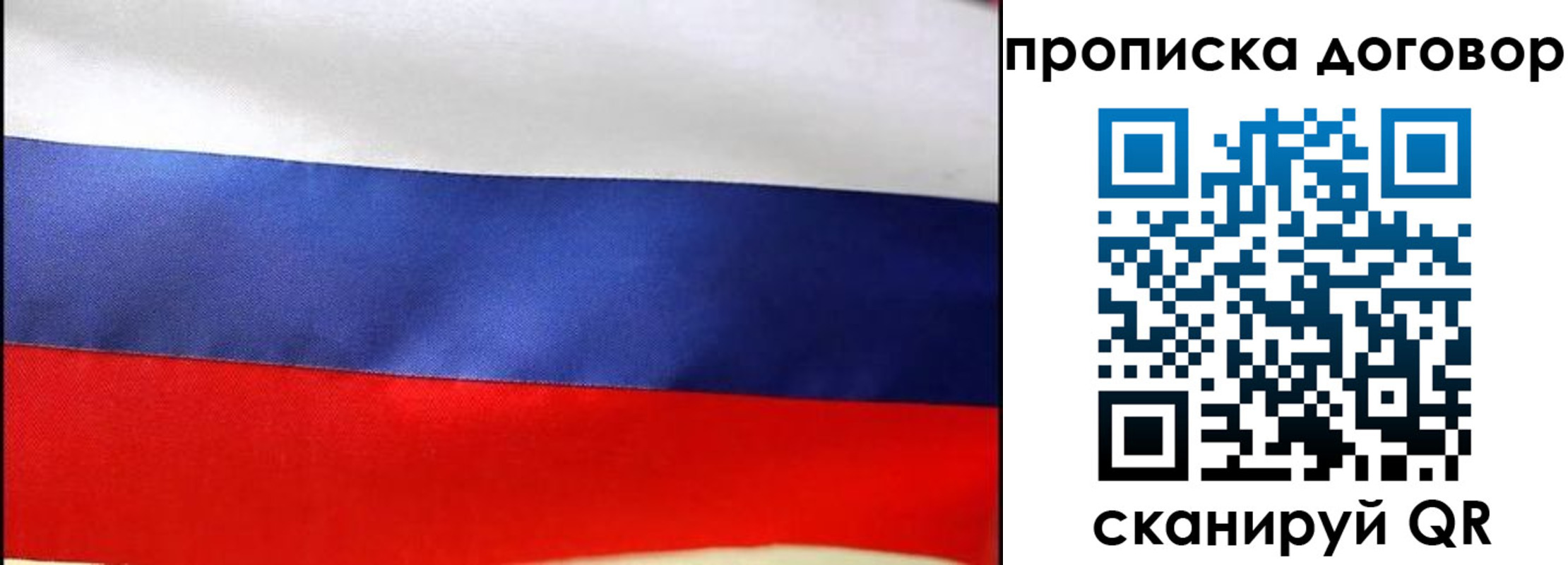 прописка гарантия в Михайлове